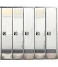 Buzones BTV, Prisma (acceso superior) -56130 - cuerpo y puerta de acero inoxidable, Inox Brillo. G5