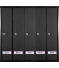 Buzones BTV, Prisma (acceso superior) - 56112 - Cuerpo y puerta de acero pintado Negro - G5