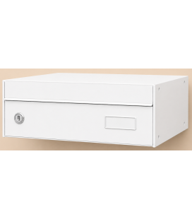 Buzones Arregui, UNIVERS - U3011 - con cuerpo y puerta de acero galvanizado Blanco
